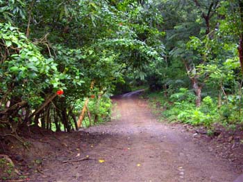 Vue de la finca de 6 has de La Esperanza, Costa Rica